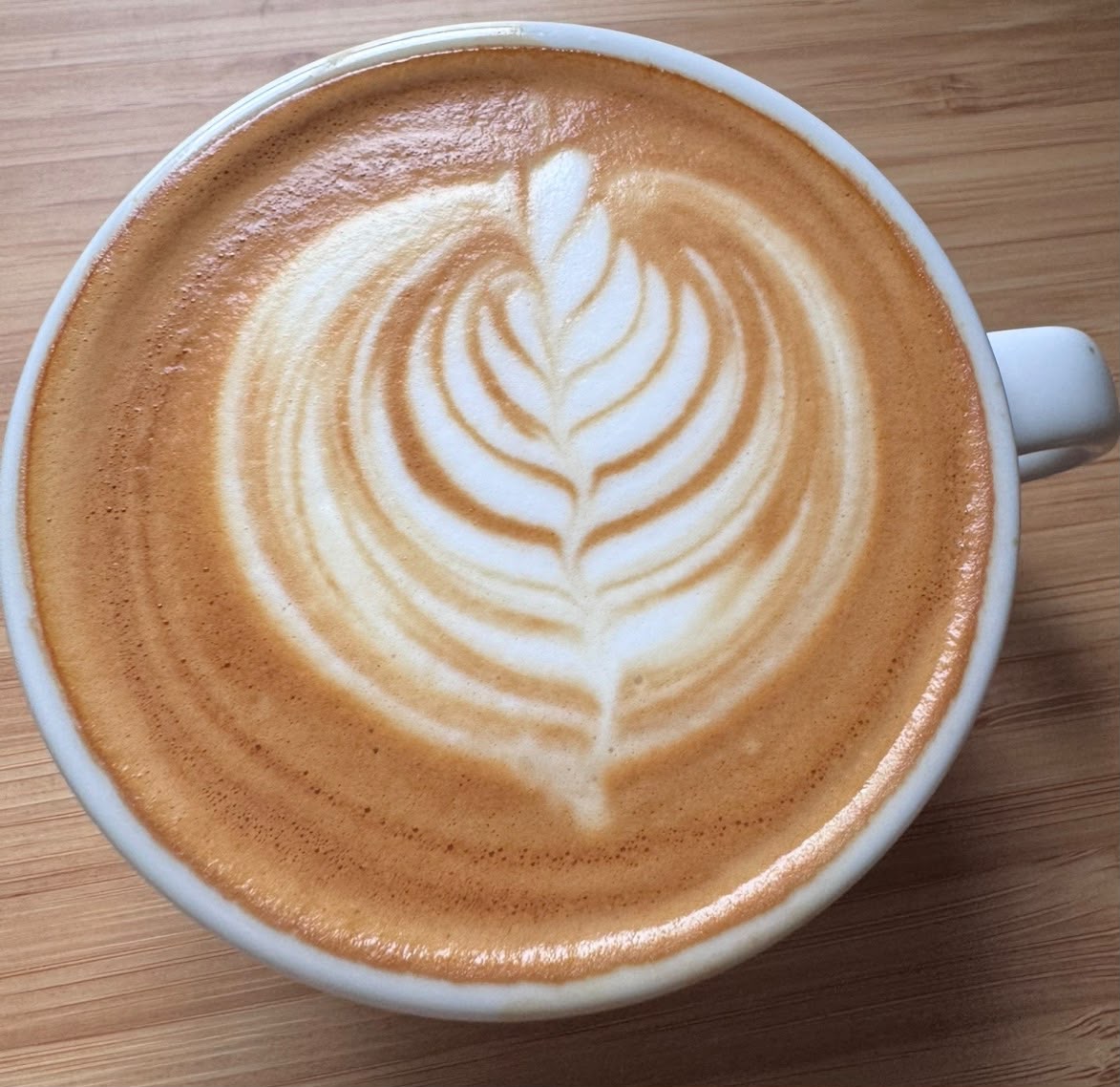Coffee 101. Things I wished people told me when I was getting into coffee.